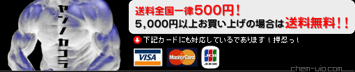 Ｔシャツ・トレーナー・パーカー送料全国一律500円！